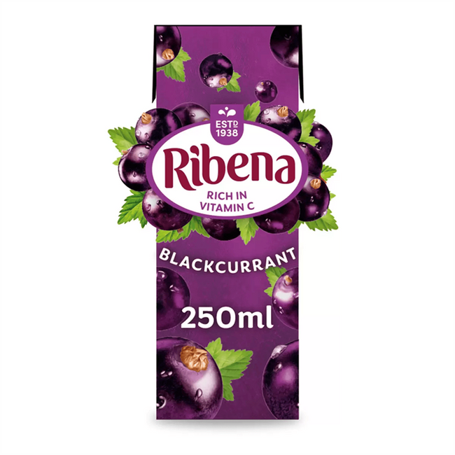 Ribena 24x250ml
